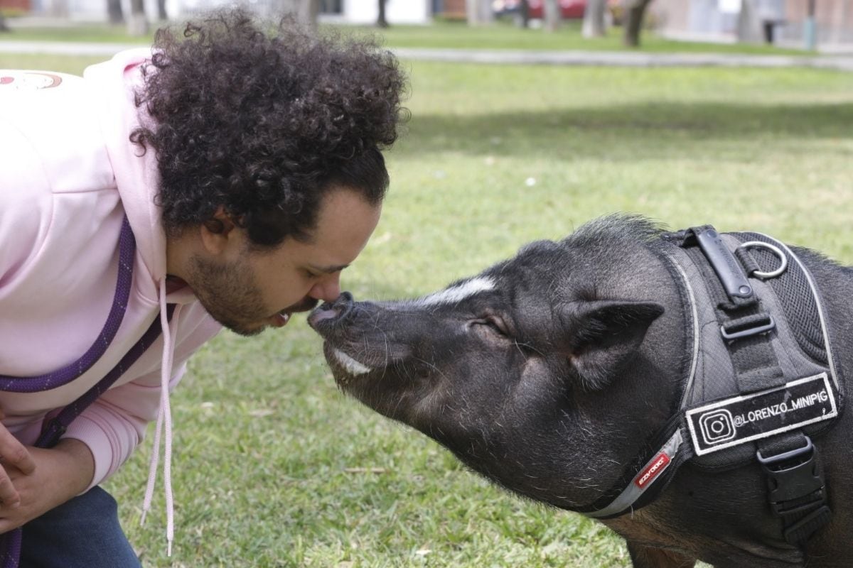 Lorenzo solo hace muestras de cariño con sus padres, ama estar con ellos.
Foto: José Bashe.