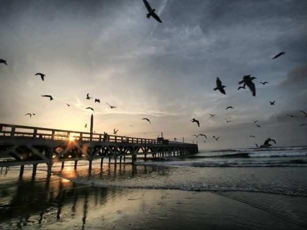 (Foto: Municipalidad de Cerro Azul)