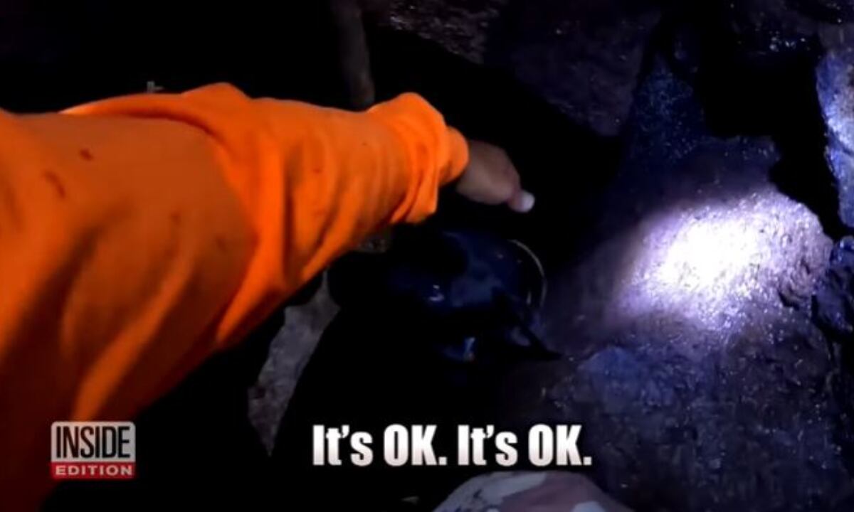 Cuando notó la presencia humana, Malka comenzó a gemir para avisar sobre su presencia. (Foto: Inside Edition/YouTube)