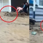 Arequipa: Torrentera El Chullo arrastra a anciana y menor en Yanahuara | VIDEO