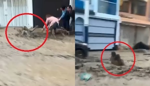 Arequipa: Torrentera El Chullo arrastra a anciana y menor en Yanahuara | VIDEO