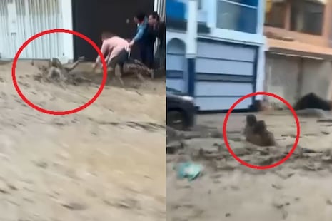 Arequipa: Torrentera El Chullo arrastra a anciana y menor en Yanahuara | VIDEO