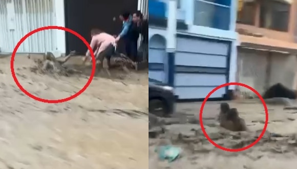Trome | Torrentera arrastra madre e hija en Arequipa (Redes sociales)