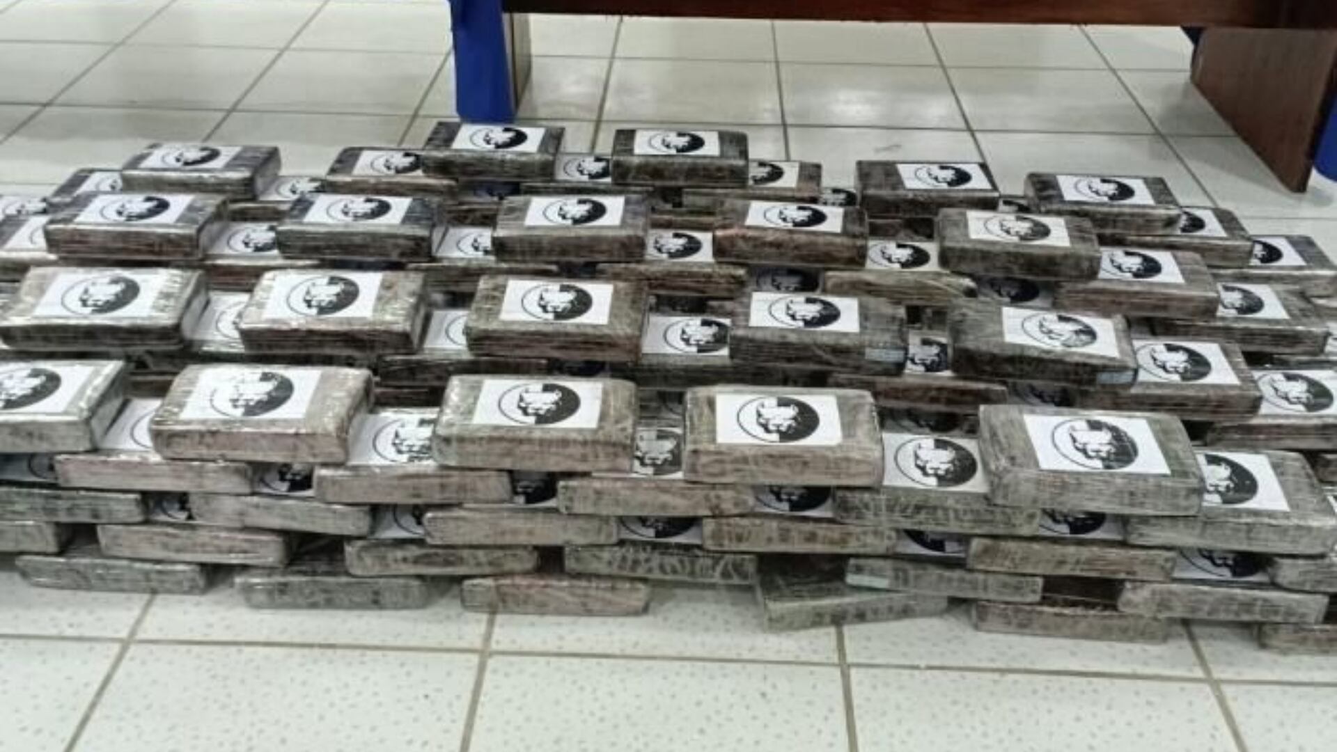 Droga camuflada en carrocería de camioneta estaba en bloques tipo ladrillo con la figura de un perro pitbull.