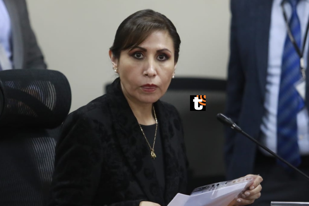 Patricia Benavides se presentó hoy también en la sesión de la comisión de Justicia y Derechos humanos del Congreso. Foto: Julio Reaño/@Photo.gec