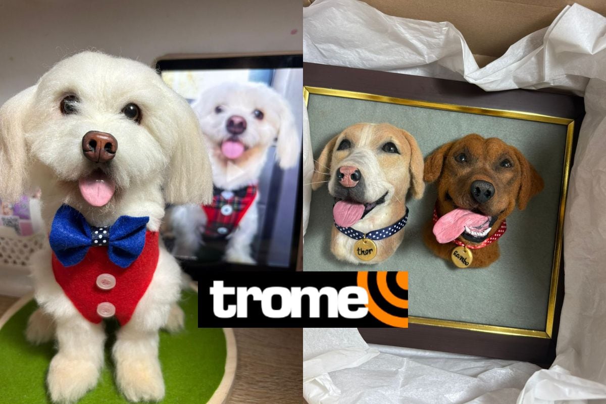 Sus esculturas parecen tan reales que ayudan a muchas familias a mantener vivo el recuerdo de sus mascotas más queridas. Foto: Cesar Bueno/Trome.
