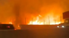 Los Olivos: Dantesco incendio se desató en vivero municipal | VIDEO