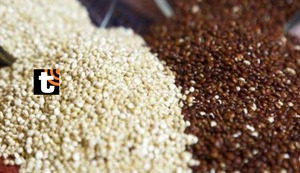 Los alimentos milagrosos