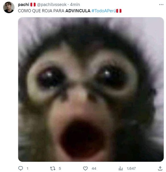 Hinchas peruanos se volcaron a las redes para compartir los más hilarantes memes del Perú vs. Paraguay