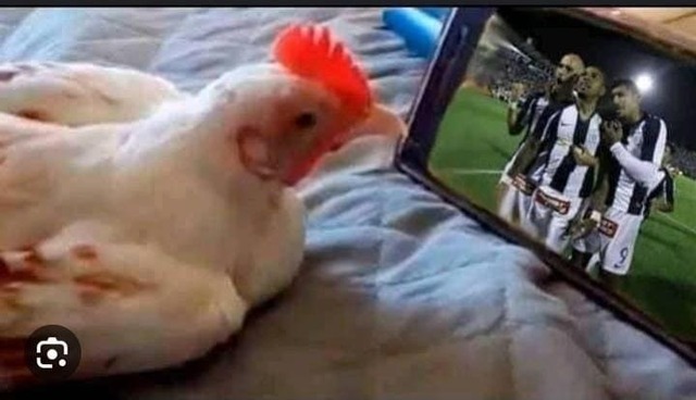 Memes Alianza Lima vs. Colo-Colo