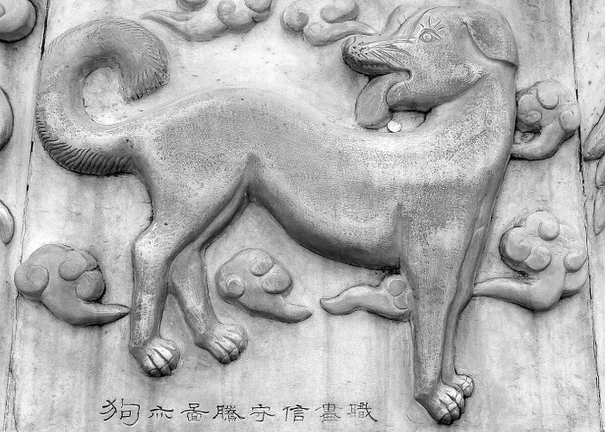 El perro representa la ternura, la fidelidad y la felicidad (Foto: Pixabay)