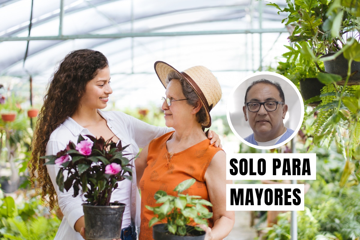 Adultos mayores y plantas