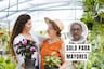 Jardinería en adultos mayores: un pasatiempo que ayuda al bienestar emocional