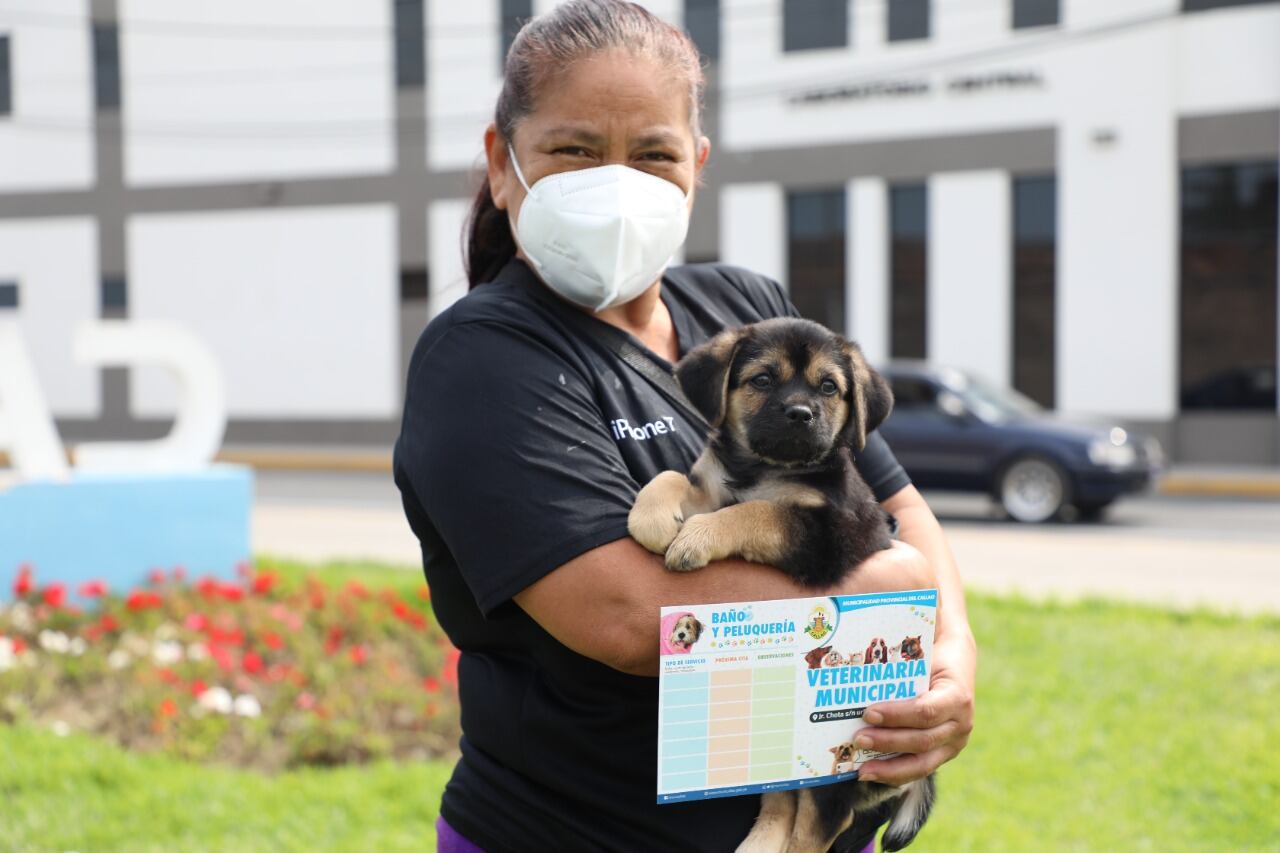 Perritos y gatitos, los engreídos de la casa, y sus 'papis' humanos salieron felices tras recibir sus vacunas.