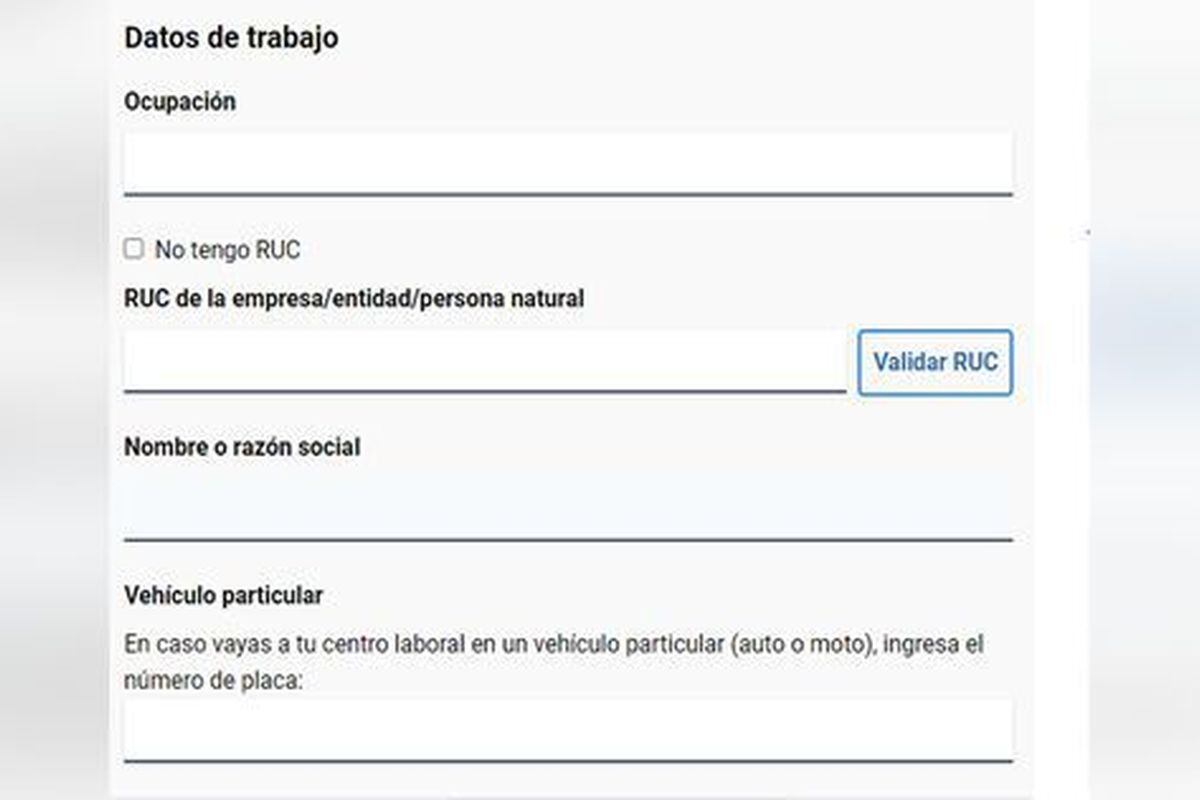Cuando tramites tu pase laboral, también tendrás la opción de solicitar tu permiso vehicular. (Foto: PNP)