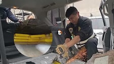 ¡Golpe al narcotráfico en Puno! caen camionetas de alta gama cargadas con cocaína rumbo a Europa