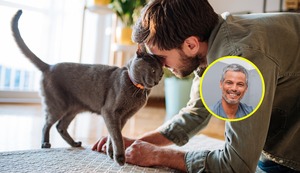 ¿El gato se ha convertido en el nuevo mejor amigo del hombre?