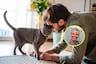 ¿El gato se ha convertido en el nuevo mejor amigo del hombre?