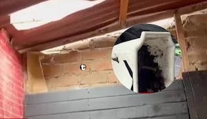 ¡Terror en San Martín de Porres! Macetero cae desde tercer piso y aplasta a bebé de cuatro meses