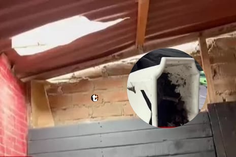 ¡Terror en San Martín de Porres! Macetero cae desde tercer piso y aplasta a bebé de cuatro meses