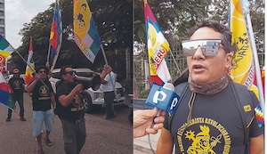 Pepitas: Cuidado con la violencia