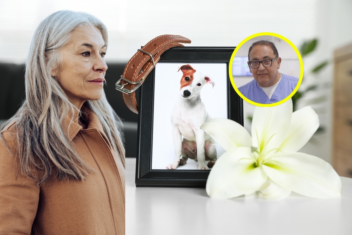 Así afecta la muerte de una mascota a los adultos mayores. Foto: Istock.