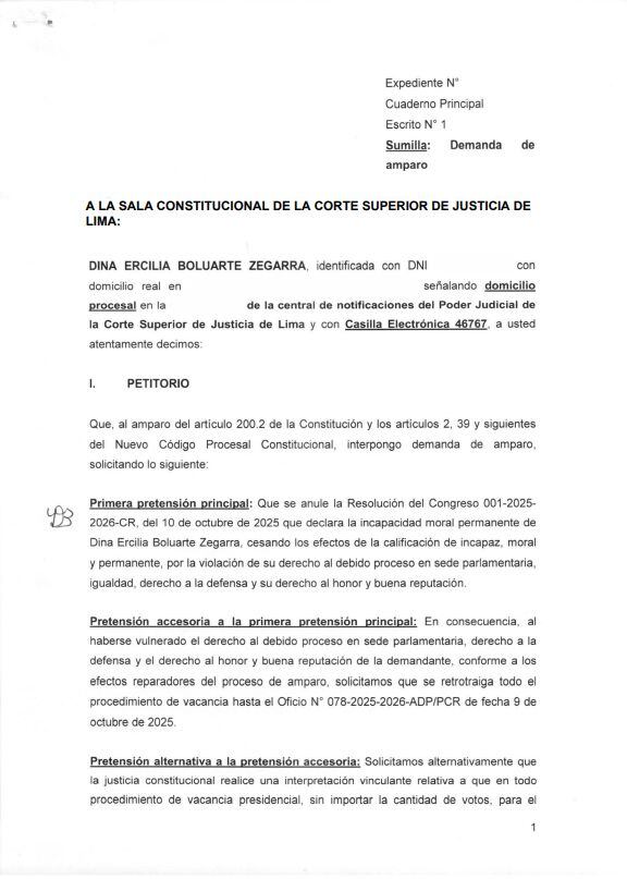 Dina Boluarte presentó hoy una acción de amparo contra la resolución del Congreso que declaró su vacancia por incapacidad moral permanente