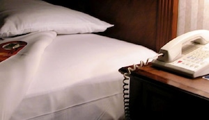 Pancholón viejo zorro: ‘Por qué ser solo de una si puedo ser de todas’