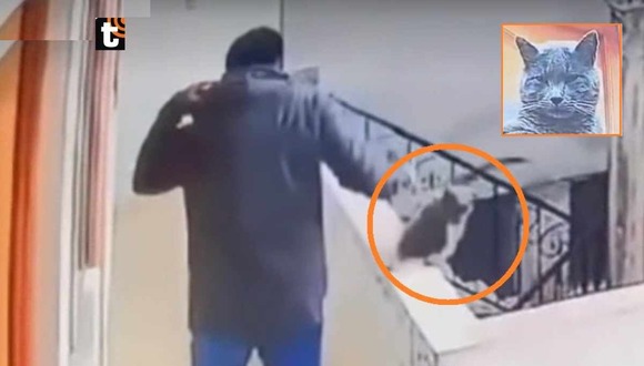 Sujeto empuja a gato de quinto piso