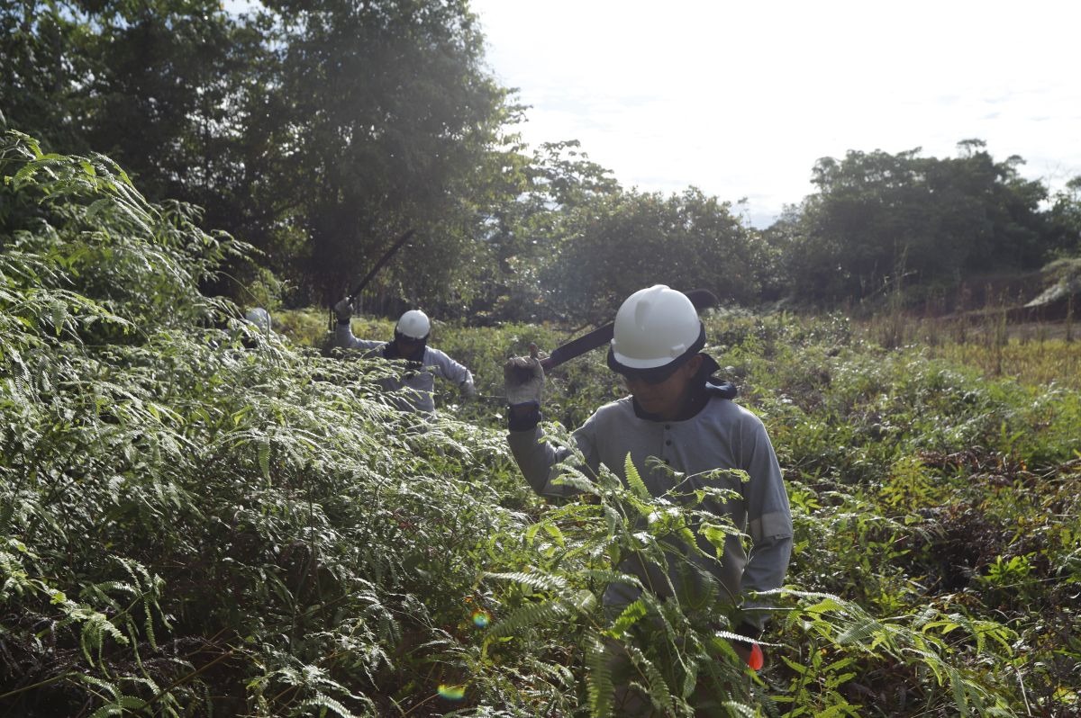Avanza el proceso de remediación ambiental en Loreto