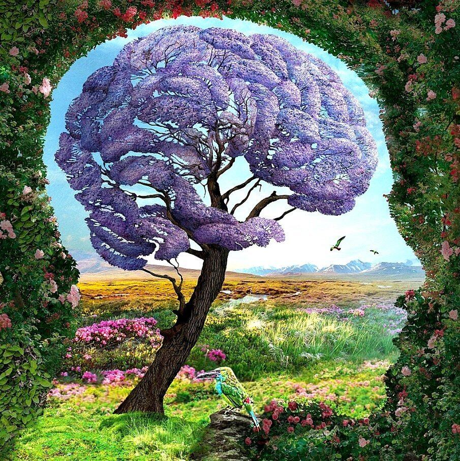 El test viral que te revela los datos ‘sin tomar en cuenta’ de tu forma de ser. (Foto: Pinterest)