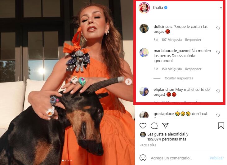 Thalía es acusada de maltrato animal. (Foto: @thalia).