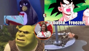 Mira los mejores MEMES por el voluminoso discurso de Dina Boluarte por Fiestas Patrias
