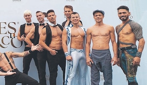 Calatos en los circos