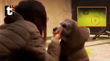 ¡Indignación en Piura! Policía es acusado de matar de un disparo a perro tras orinar cerca de su puerta