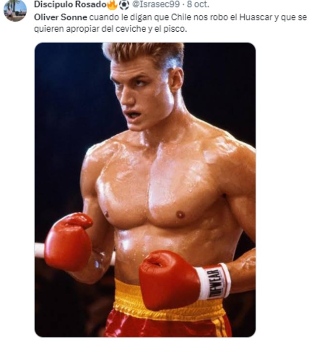 Hinchas de la Bicolor comparten emocionantes memes del Perú vs. Chile