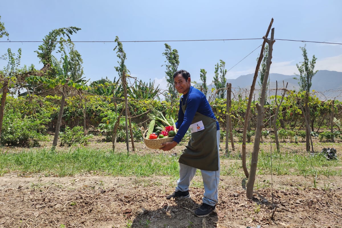 La Asociación de Productores Ecológicos del Valle del Chillón (APEVCH) promueve esta iniciativa en los emprendedores del Valle del Chillón