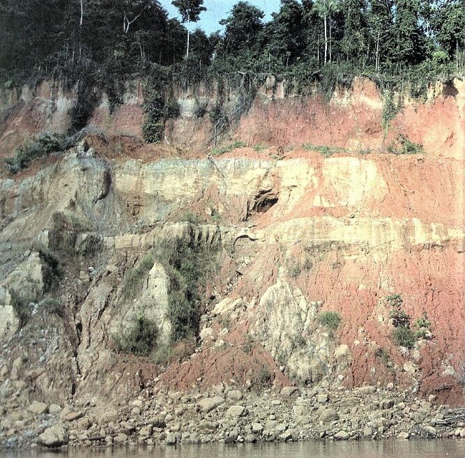 Los fósiles colectados fueron el resultado de los trabajos de campo, desarrollados mediante el convenio del Ingemmet con el Museo de Historia Natural de Los Ángeles.