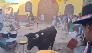 Ayacucho: Toro se escapa en Fiesta Patronal y deja 30 heridos de Andamarca | VIDEO