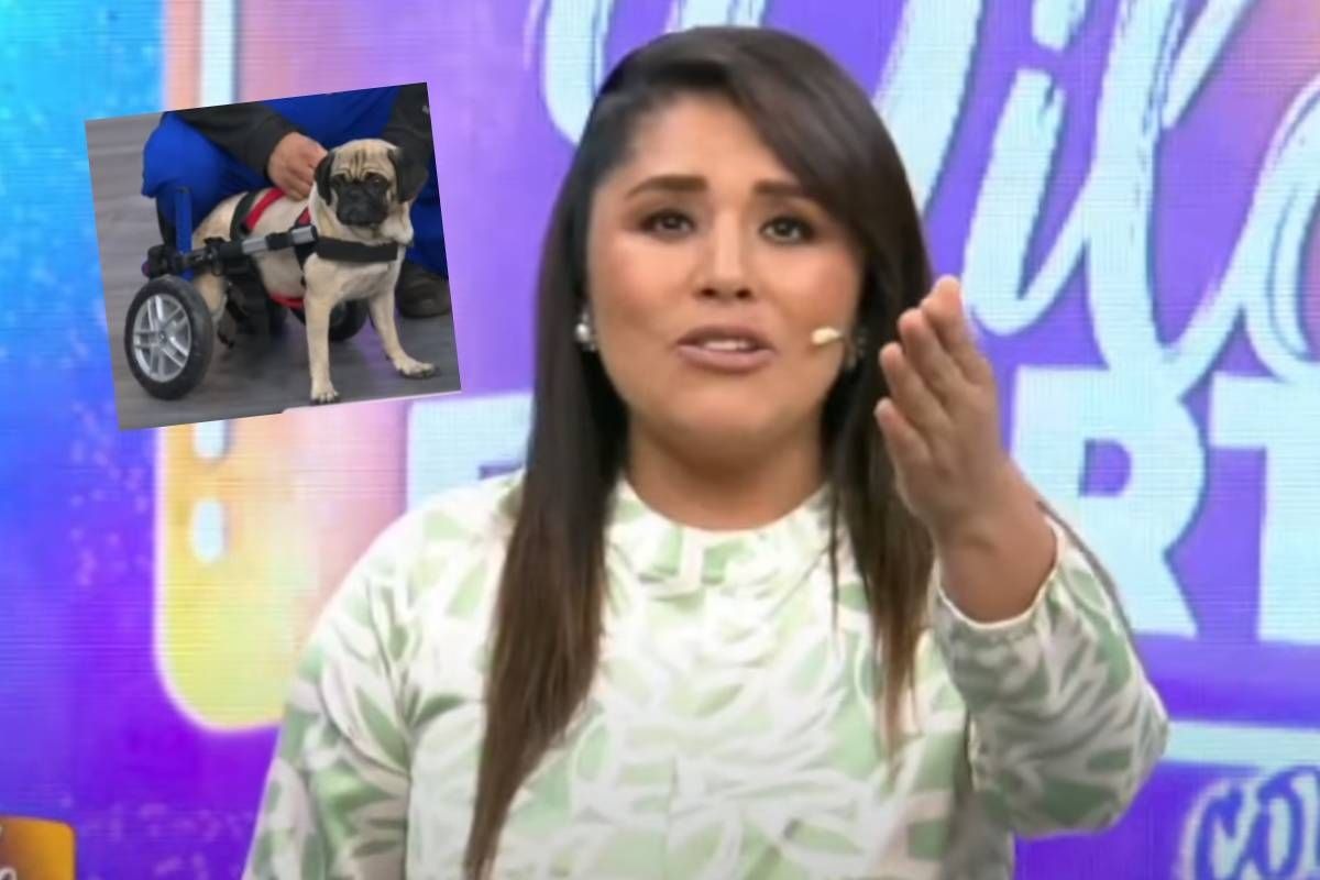 Lady Guillén se quebró al ver a la perrita Dachi recuperada. (Captura Dilo Fuerte)