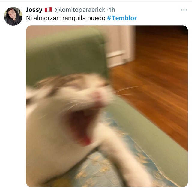 Trome| Memes del temblor en Lima del martes 23 de julio 2024 (Fotos: Twitter)