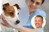 ¿Por qué esterilizar a tu mascota? Un especialista lo explica