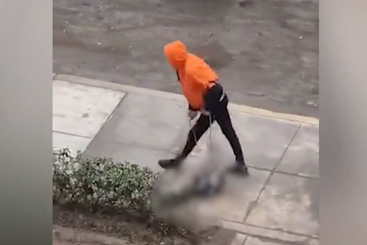 Yixon fue captado agrediendo a una perrita en el Callao y de esta manera pudo ser ubicado