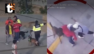 Maltrato animal: sujetos le tiran piedras a perro de brigada canina durante interevención de Serenazgo