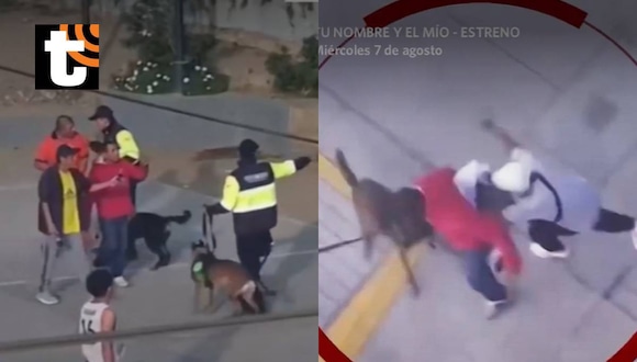 La Molina: Agreden a brigada canina del Serenazgo