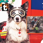 Ayudan a buscar sobrevivientes en Venezuela
