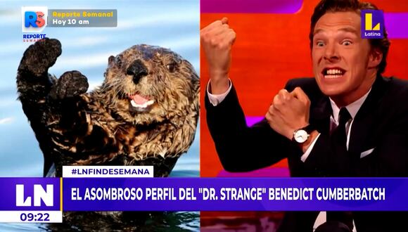 Benedict Cumberbatch: Conozca más al extrovertido actor que le da vida al "Dr. Strange"