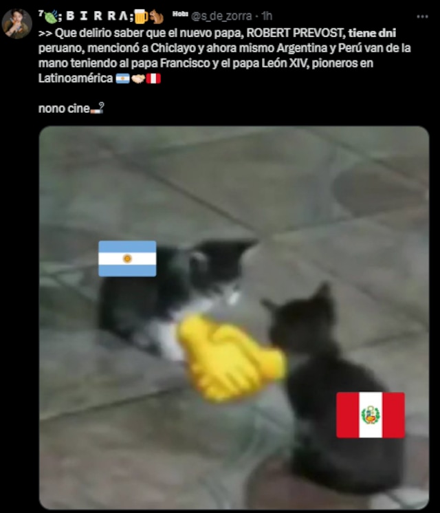 Memes del papa peruano, León XIV