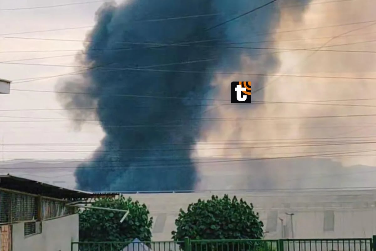 Voraz Incendio en Villa El Salvador y Ate Genera Caos y Emergencia