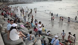 Pico TV: El Búho y las playas (II)